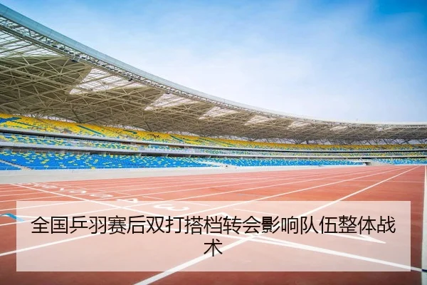 全国乒羽赛后双打搭档转会影响队伍整体战术
